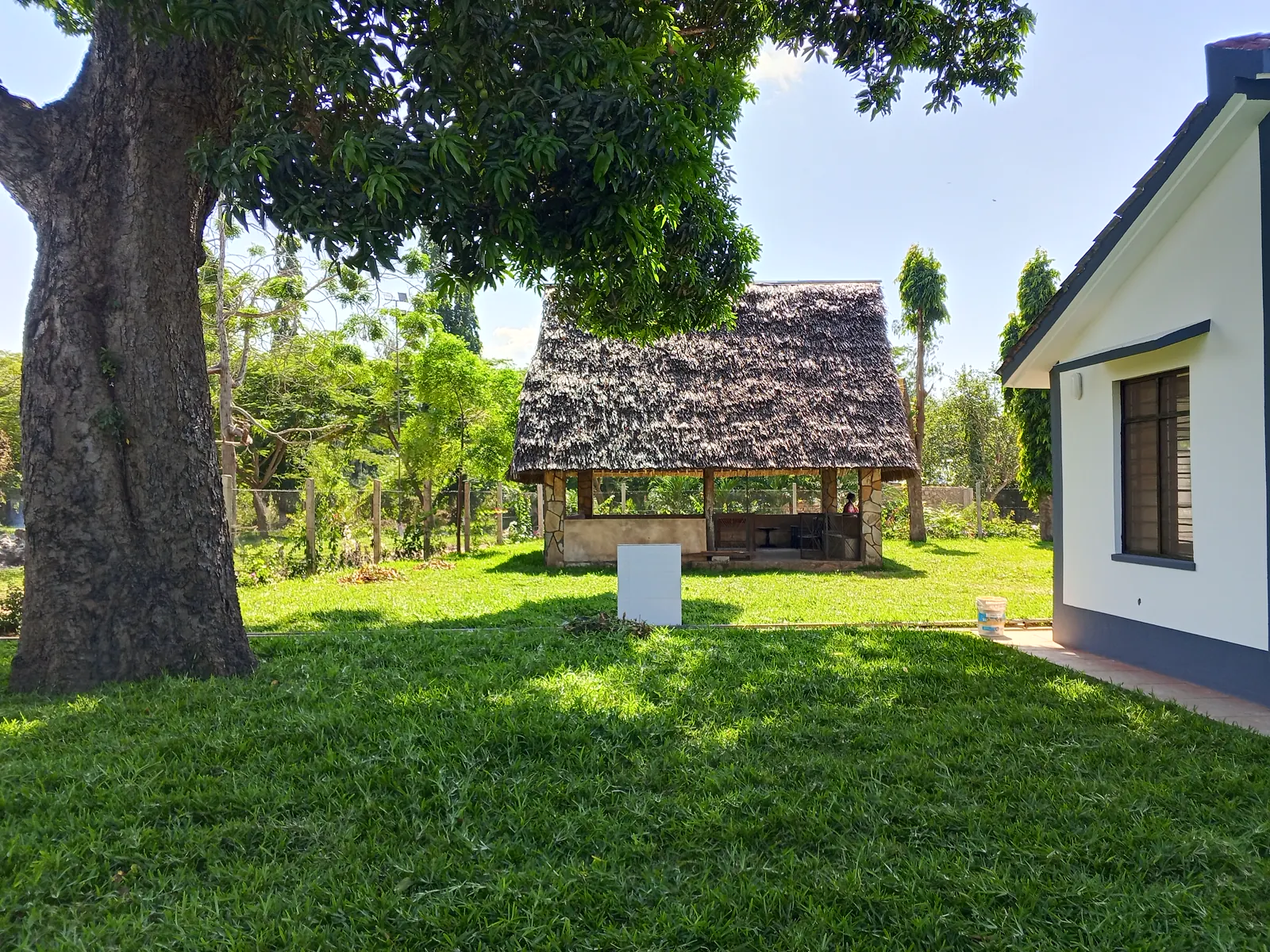 Temporary photograph of the garden and shared shelter